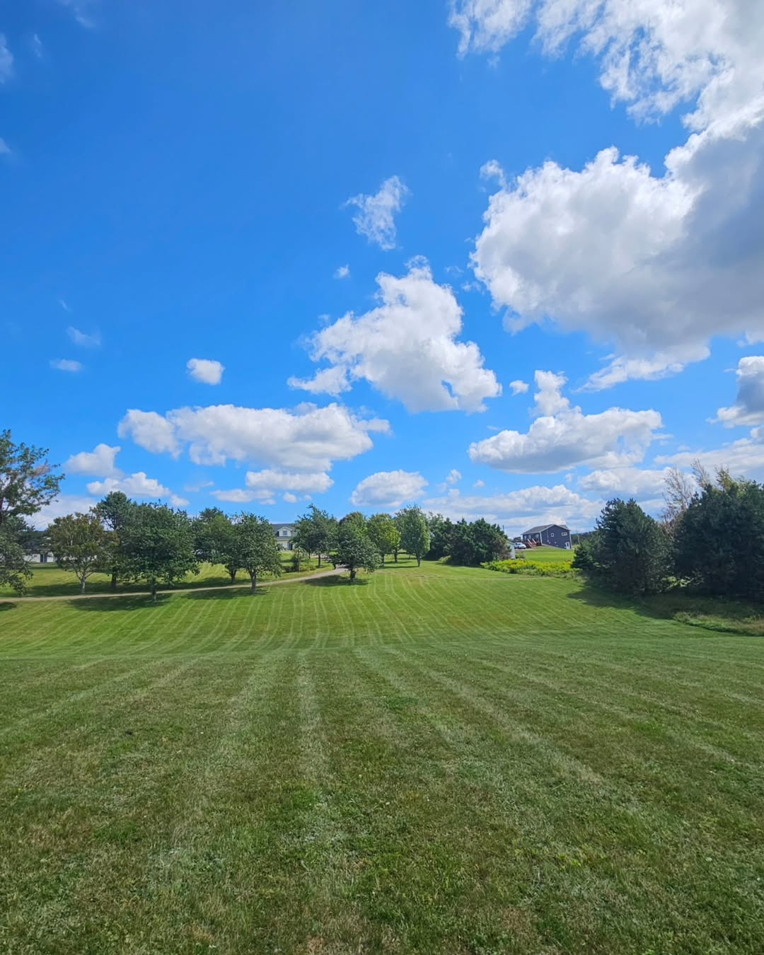 Lawn Care